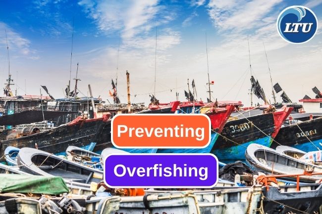 Best Practices and Policies for Sustainable Fishing Practices